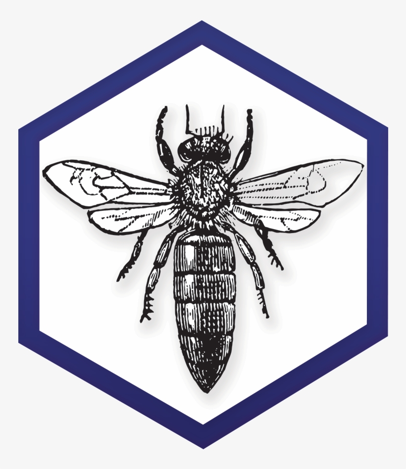 November 2018 Newsletter Ny Bee Wellness - Exotic Car Dealership Logo, transparent png download