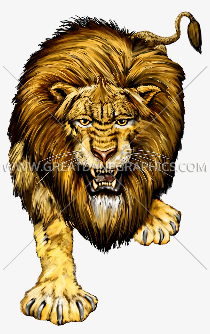 Head Lion Png, transparent png download