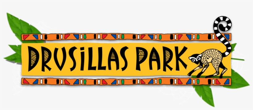 Plan Your Visit - Drusillas Park, transparent png download