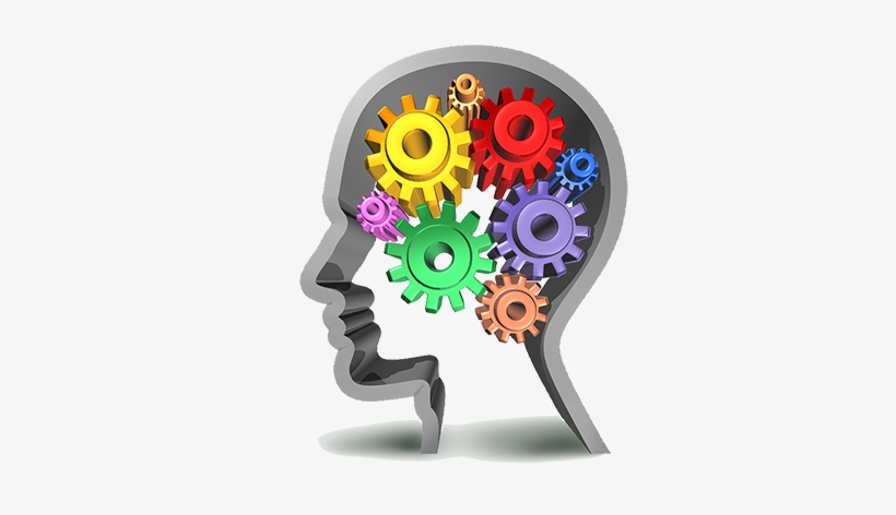 Ci2s Consulting - Engineering Psychology And Human Performance [book], transparent png download