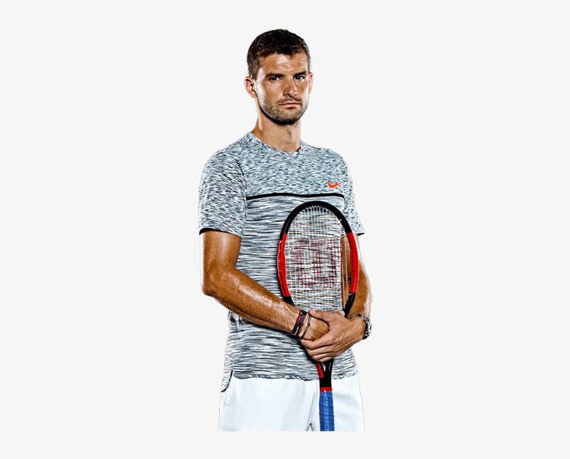 Grigor Dimitrov - Grigor Dimitrov Ranking, transparent png download