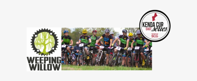 The Weeping Willow Efta Necs - Weeping Willow, transparent png download