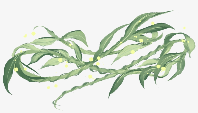 "weeping Willow // Recovery, Flexibility, Hope Story - Large-flowered Evening Primrose, transparent png download