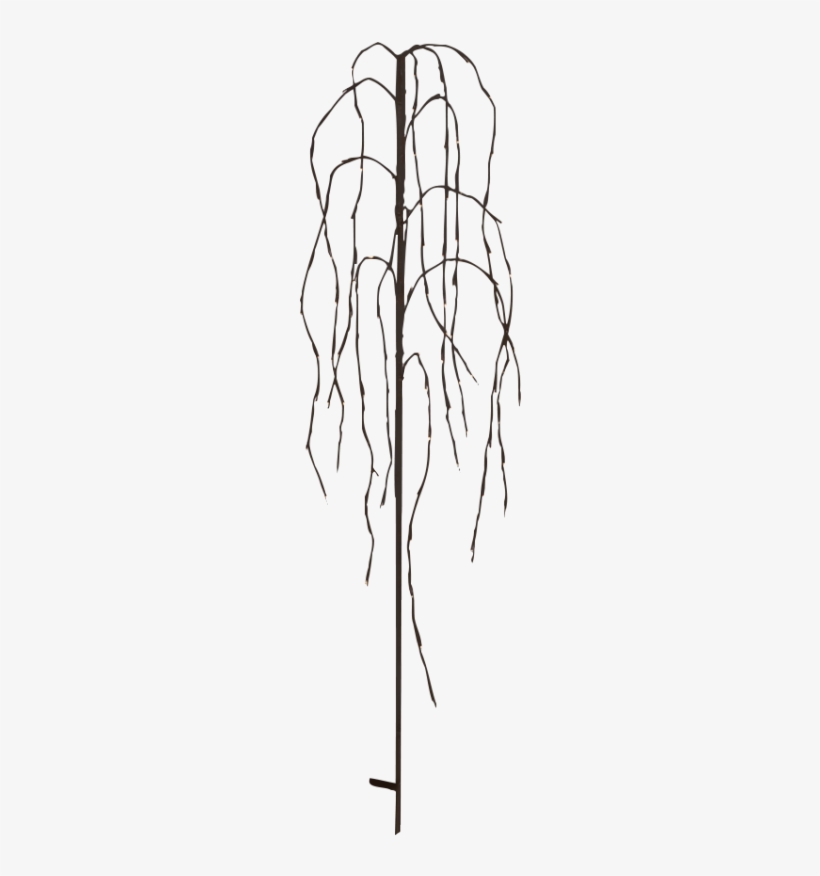 The Copy Of Images & Data Is Forbidden - Led - Weidenbaum, Weeping Willow, 96 Warmweiße Leds,, transparent png download