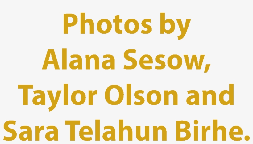 2017 Viking Days Celebrates Ole's 50th Birthday With - Organization, transparent png download