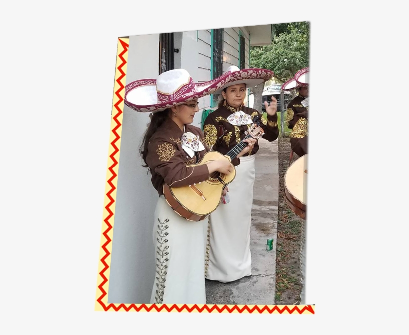 About - Musician, transparent png download