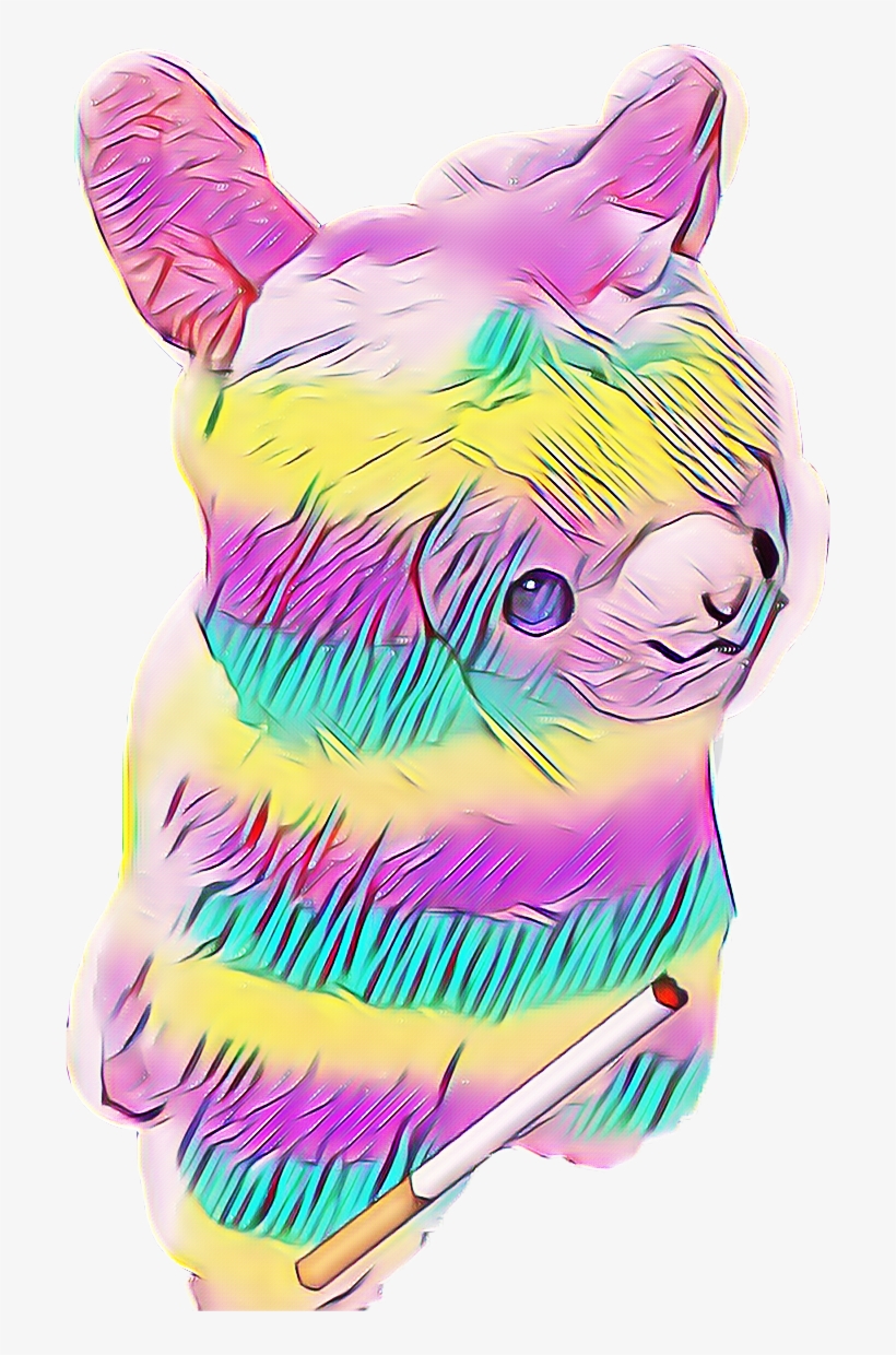 Every Time I Took A Puff I Felt A Sense Of Peace And - Kitten, transparent png download