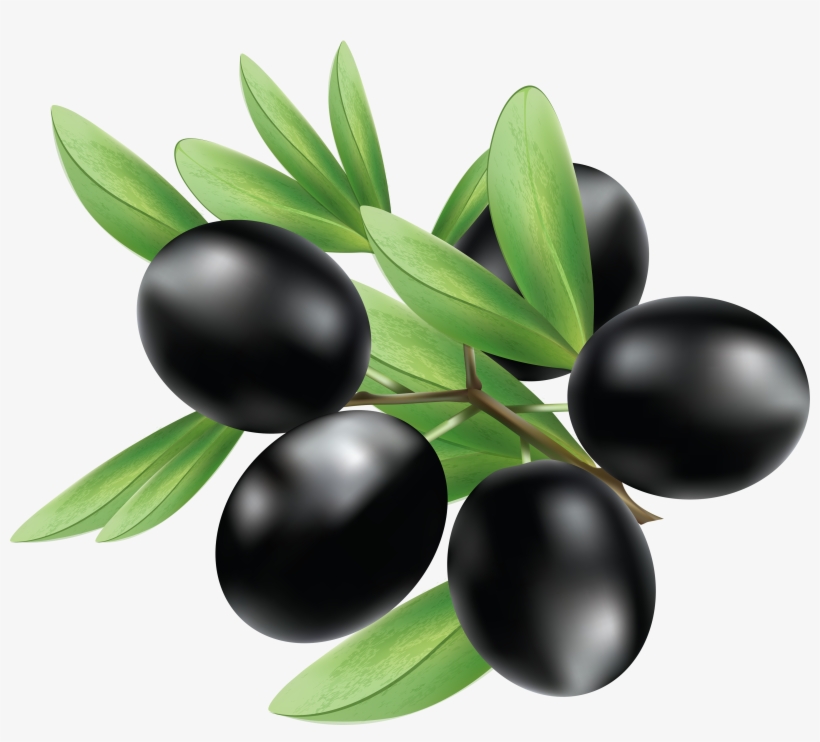 Black Olives Png - Olives Png, transparent png download