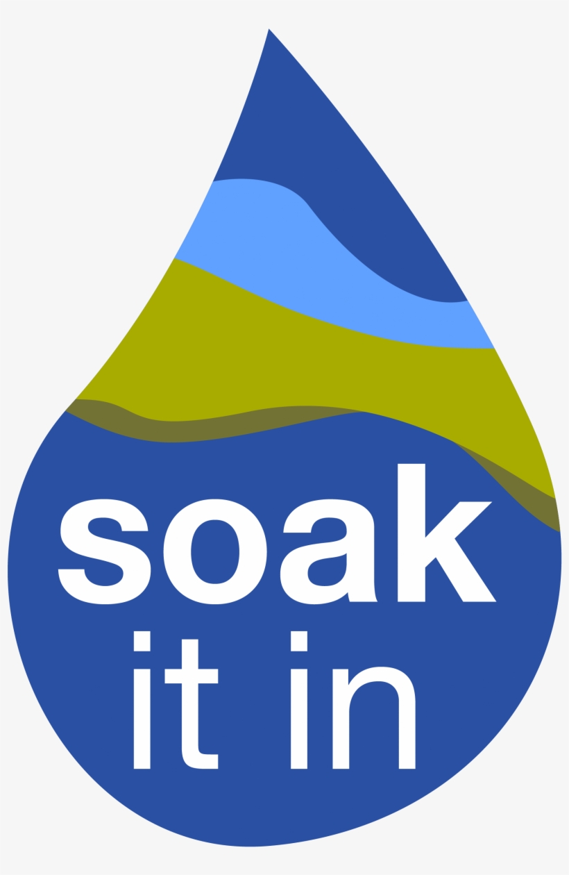 Throughout 2017, Join Us In Celebrating The Ways Georgia - Bitmex, transparent png download