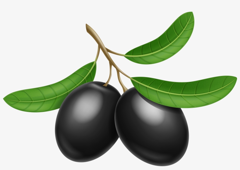 Olives Clipart, transparent png download