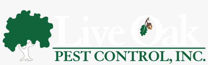 Pest Control, transparent png download