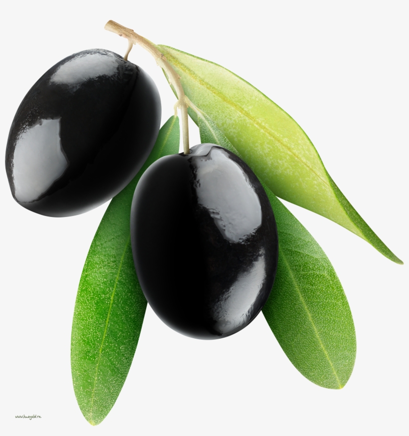 Black Olives Png - Black Olive Oil Png, transparent png download