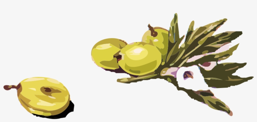 How To Set Use Olives Clipart - Olives Clipart, transparent png download