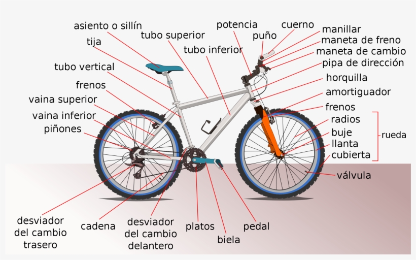 Open - Bicycle, transparent png download