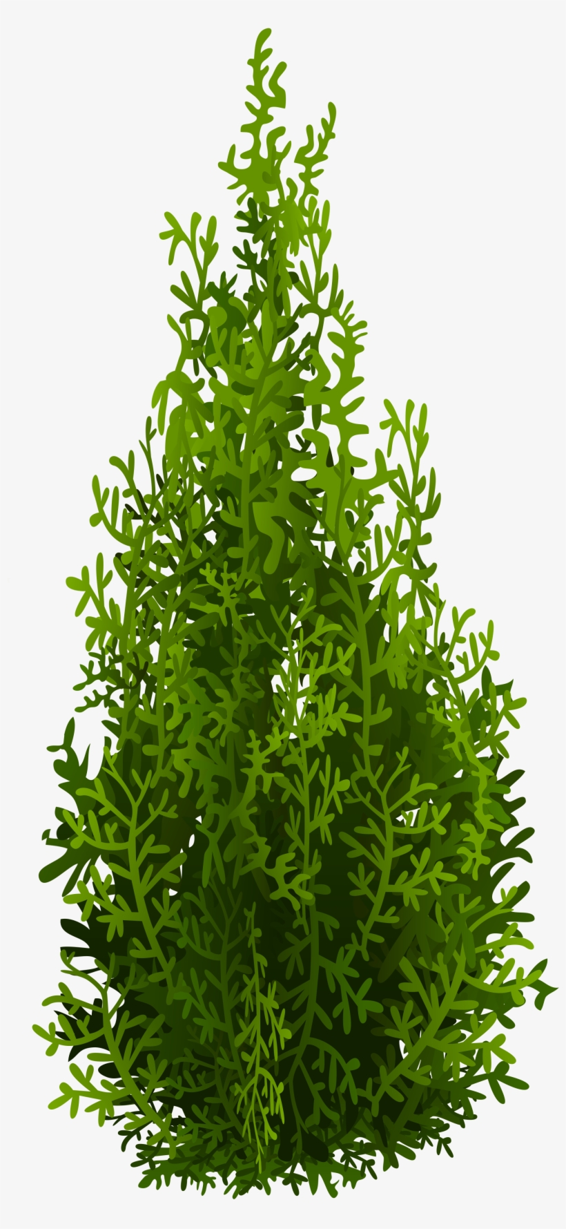 Tree, transparent png download