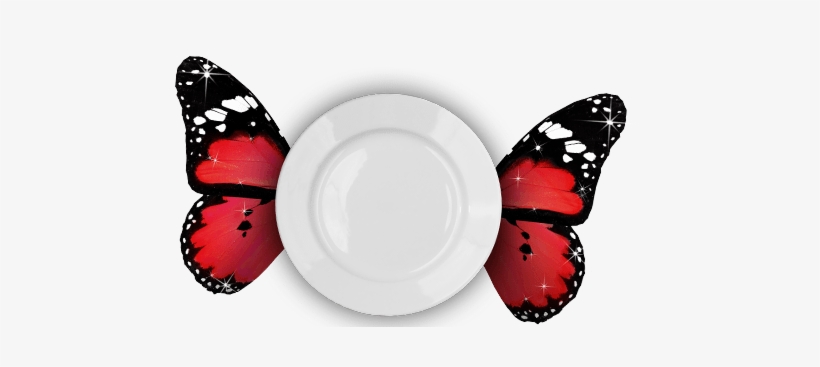 Utensils - Limenitis Camilla, transparent png download
