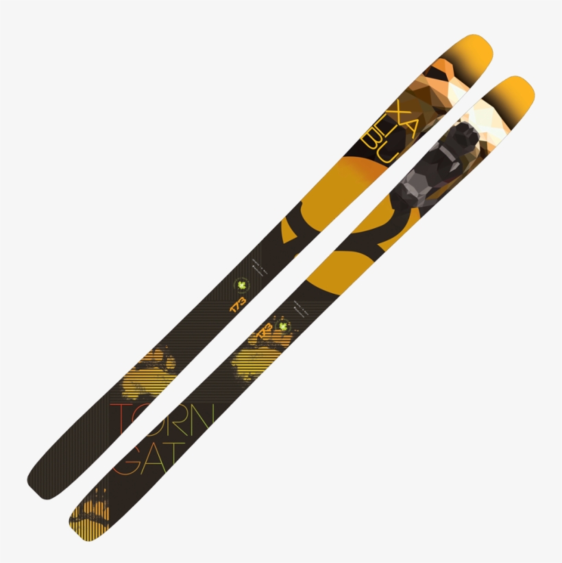 Skiing, transparent png download