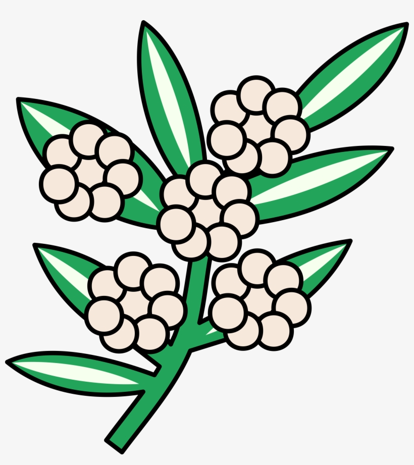 This Free Icons Png Design Of Calophyllum Flowers, transparent png download