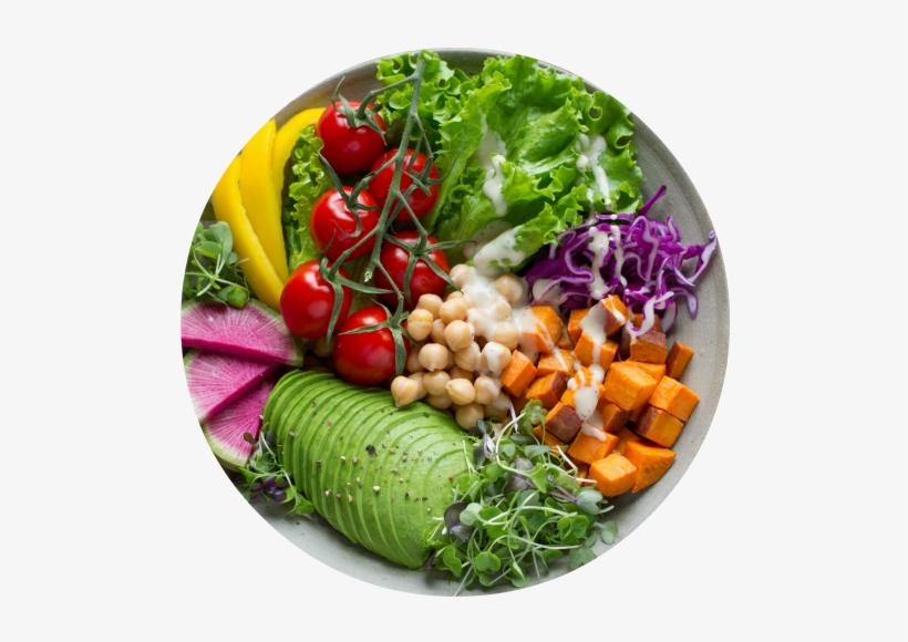 Vegen Vegetarian Nutritionist - Vegatariano E Intestino, transparent png download