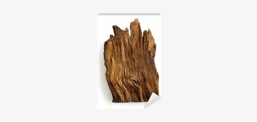 Wood, transparent png download