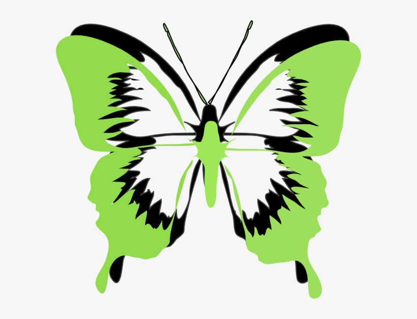 Pink And Green Butterfly Clipart, transparent png download