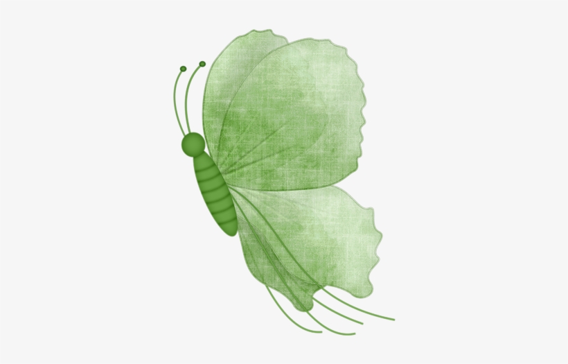 Green Butterfly - Butterfly, transparent png download