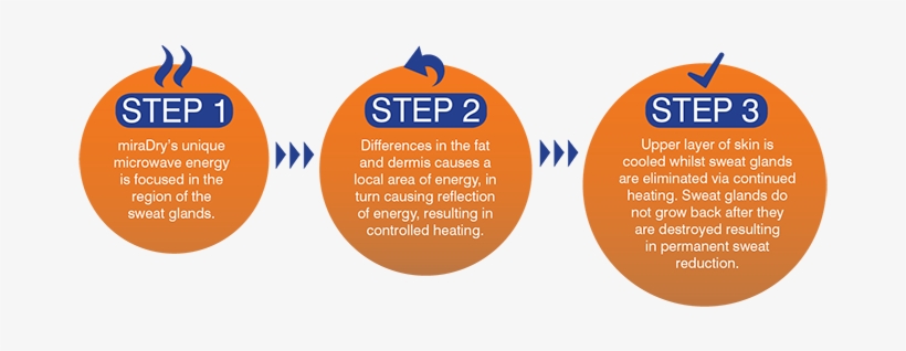 Circle, transparent png download