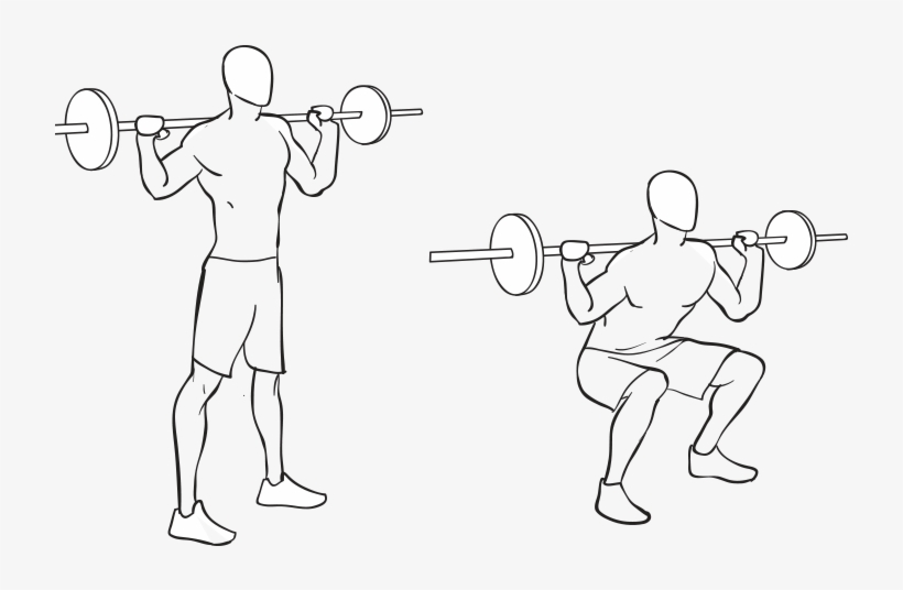 Barbell Squat - Squat, transparent png download