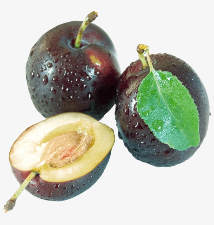 Download Plum Png Image - Prunus Sect. Prunus, transparent png download
