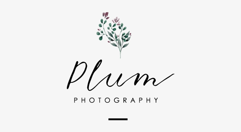 Plum Photography Main Logo-01 - Wedding, transparent png download
