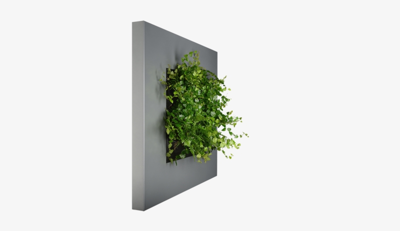 Shelf, transparent png download