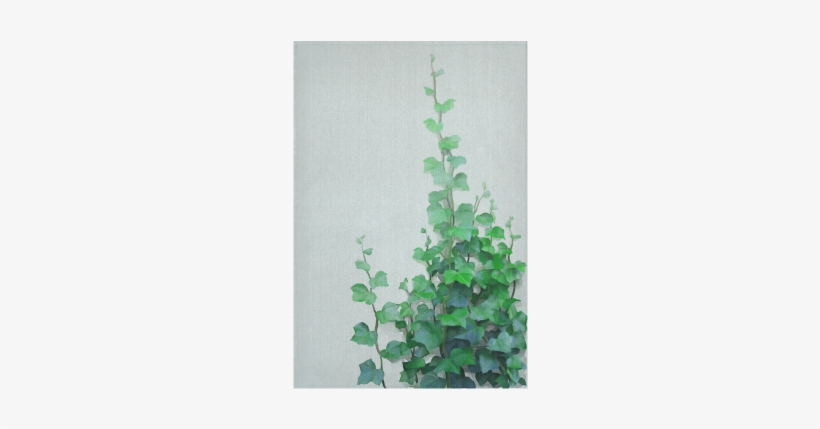 Vines, Climbing Plant Cotton Linen Wall Tapestry - Creeper Plants And Paintings, transparent png download