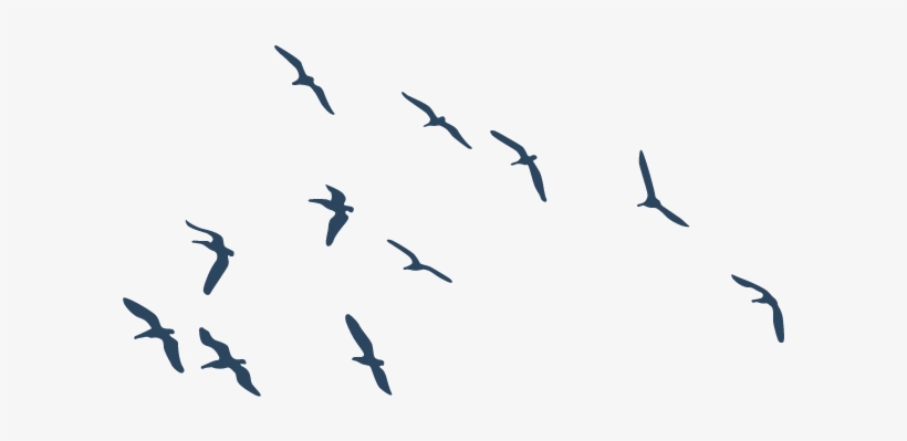 Png Pajaros - Pajaros Png Para Photoshop, transparent png download