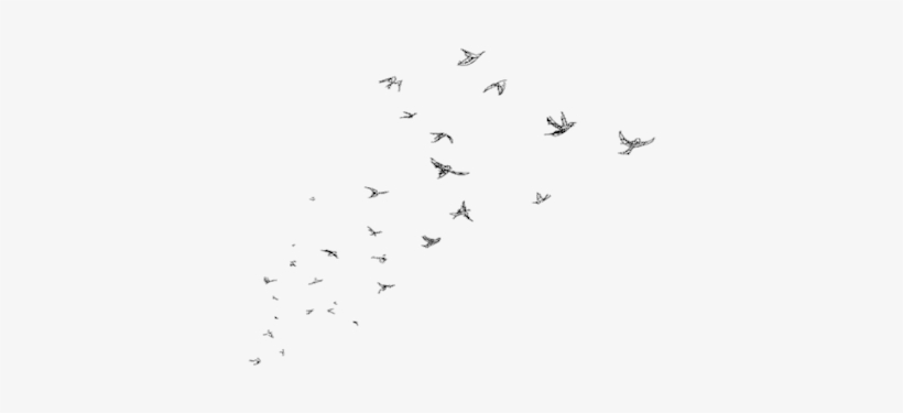 Bandada De Pajaros Png - Backgrounds Emo, transparent png download