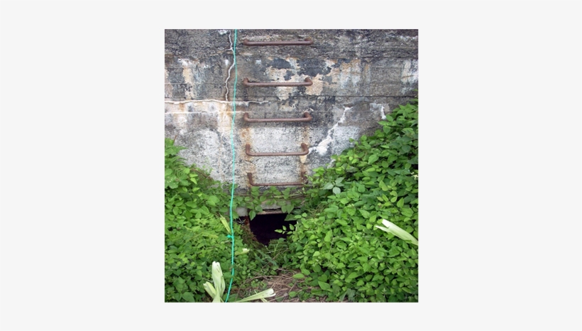 (b) (c) - Wall, transparent png download