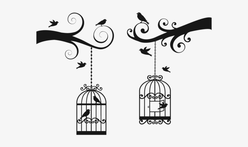 Jaulas De Pajaros - Bird Cage Wall Design, transparent png download