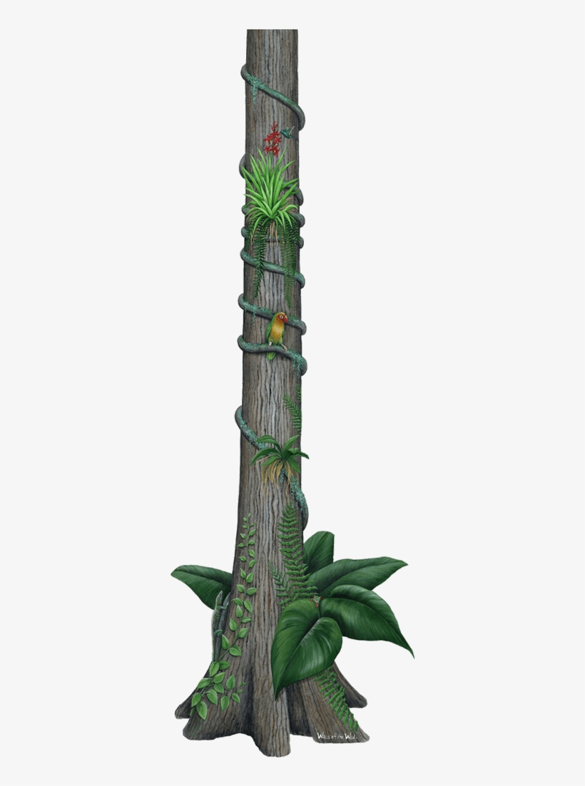 Rainforest Tree Jungle Wall Decal Sticker - Walls Of The Wild Jungle Wildlife Collection #2 Mural, transparent png download
