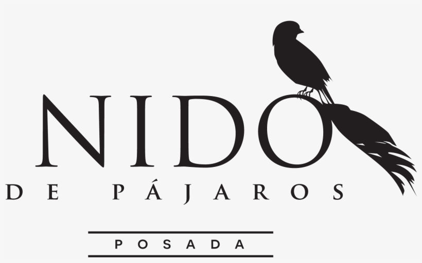 Hotel Nido De Pájaros Posada - International Trade, transparent png download