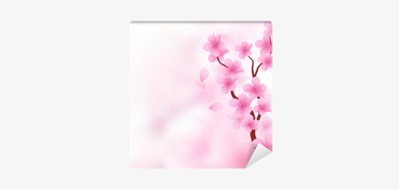 Cherry Blossom, transparent png download