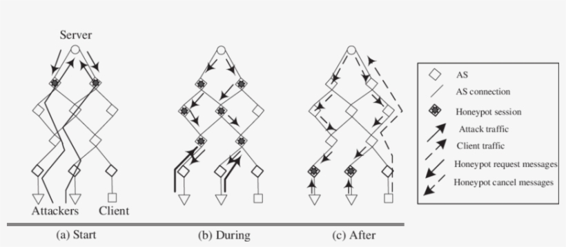 The Operation Of Inter As Honeypot Back Propagation - Diagram, transparent png download