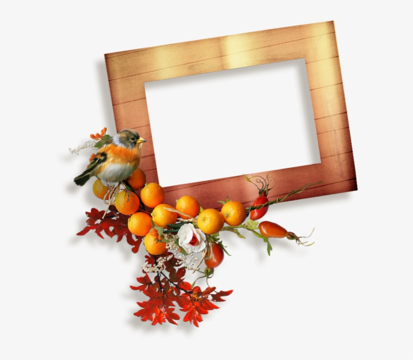 Cadre D'automne - European Robin, transparent png download