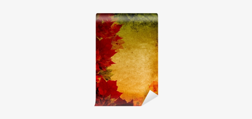 Maple Leaf, transparent png download