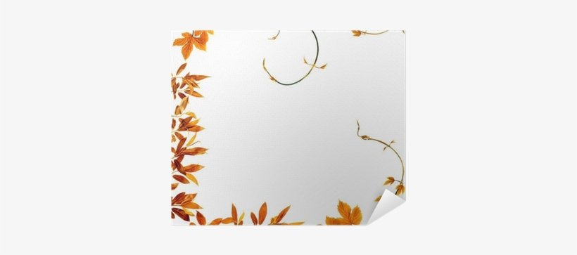 Leaf, transparent png download