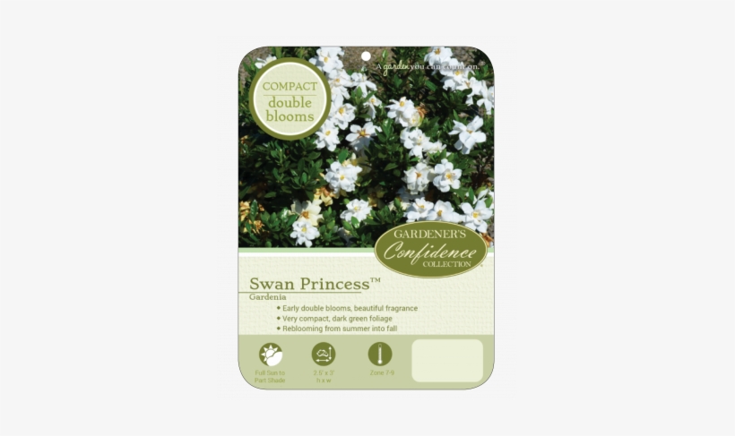 Plant Profile - The Swan Princess, transparent png download