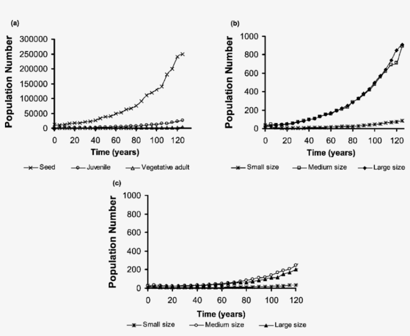 Changes In Population Size For Each Plant Stage Of - Diagram, transparent png download