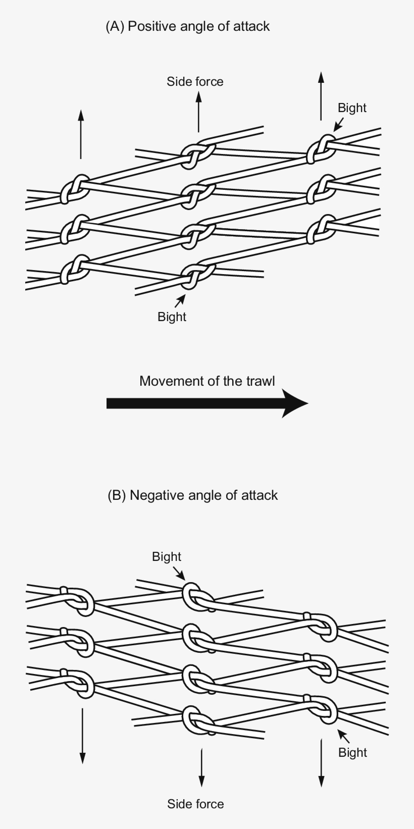 Diagrammatic Representation Of Panels Of Netting Orientated - Diagram, transparent png download