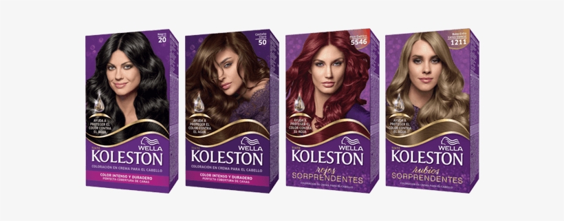 Collections Groupshot - Koleston 5.6, transparent png download