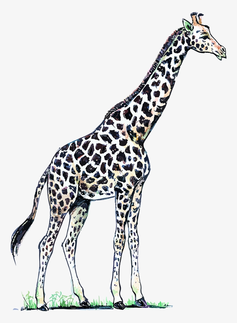 Color Pardo Castaño Recortado Por Una Red De Líneas - Color Jirafa, transparent png download