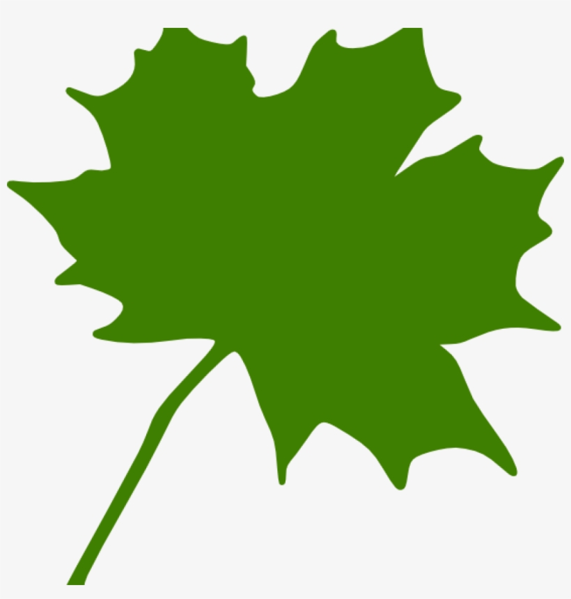 Maple Leaf Clipart Green Maple Leaf Clipart Clipart - Canadian Leaf Clip Art Png, transparent png download