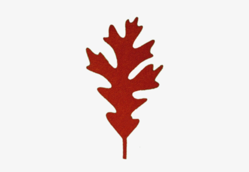 2056white Oak (assorted)20/$8 - Red Oak Leaves Png, transparent png download